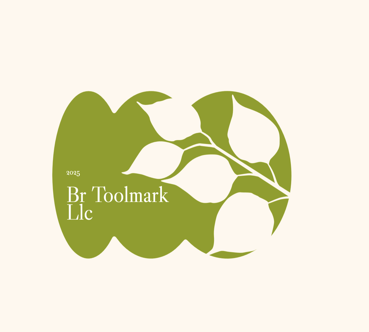 BR TOOLMARK LLC